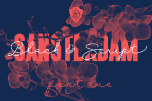 Sansterdam: A Modern Geometric Script Font for Web Design